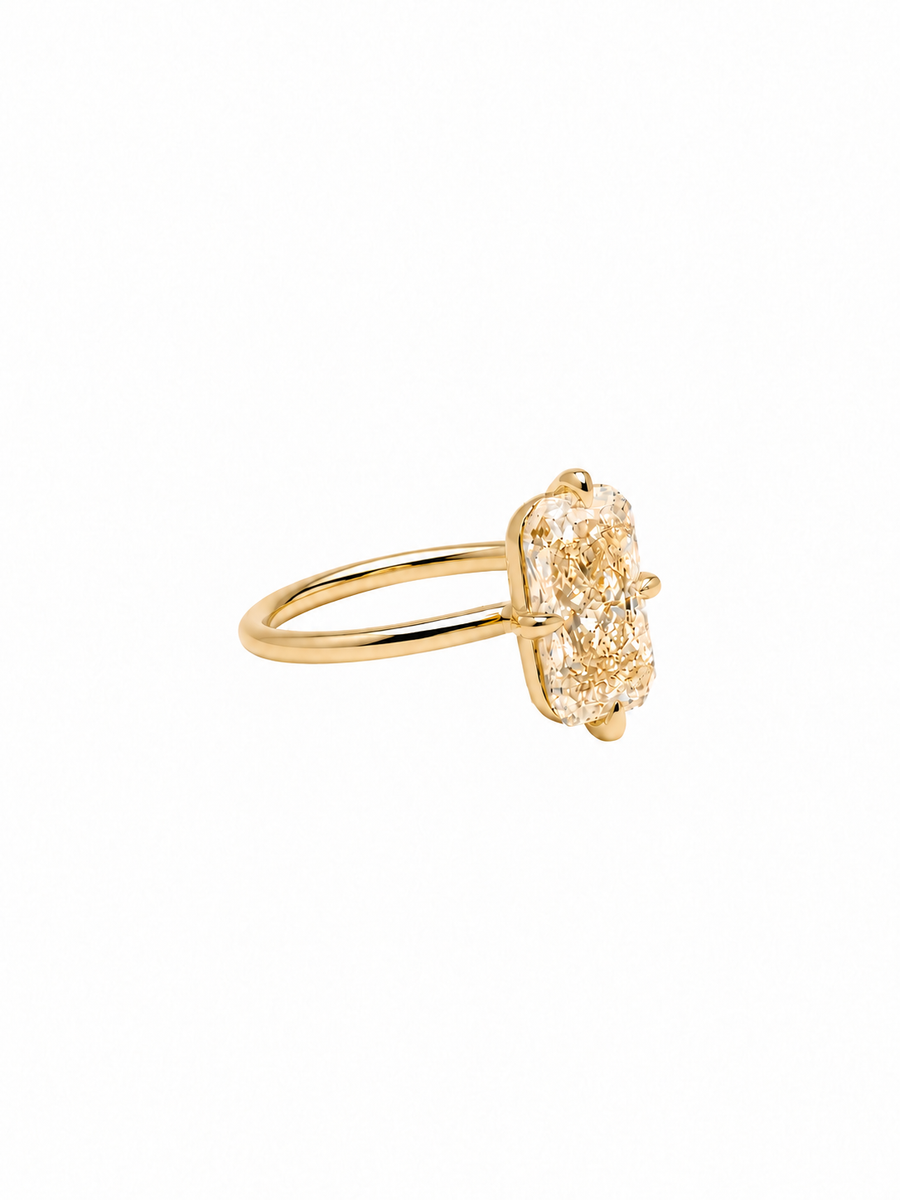 Cutaway Champagne Elongated Radiant