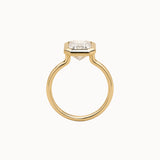 Emerald Cut Diamond in Frame Setting